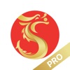 iDragon Pro icon