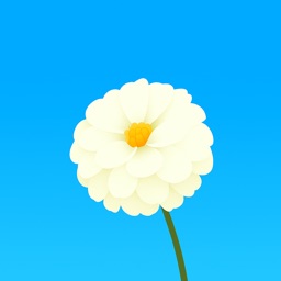 HDPix - Wallpapers for You
