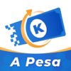 A Pesa - ZEROX TECHNOLOGY COMPANY LIMITED