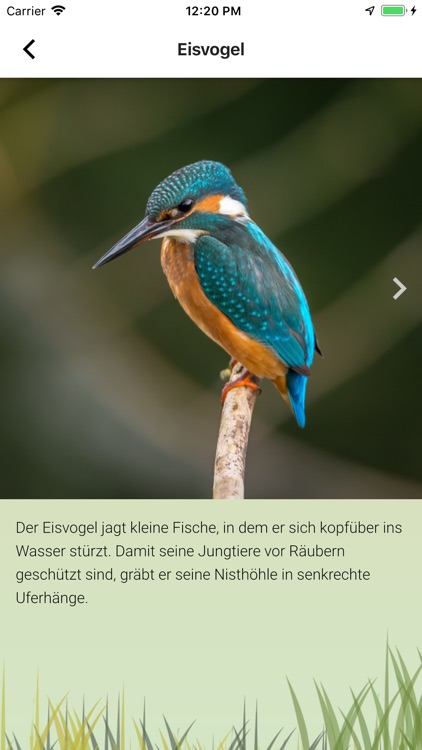 Naturpfade screenshot-4