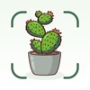 Plant Doctor: plant care guide icon