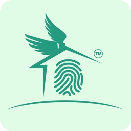 Wings Office: HR & Payroll App