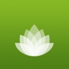 Take a break - Mindfulness icon