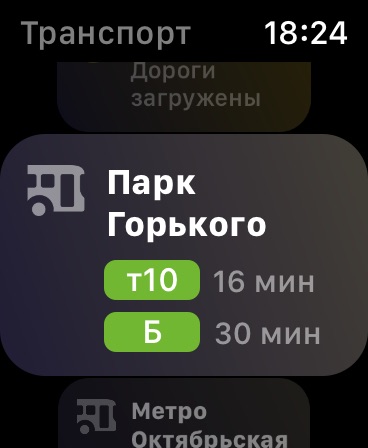 Apple Watch screenshot