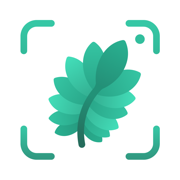 Jungle: Plant Identifier App