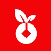黑银 icon