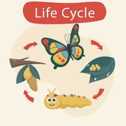 Life cycle: Curious world 2y+