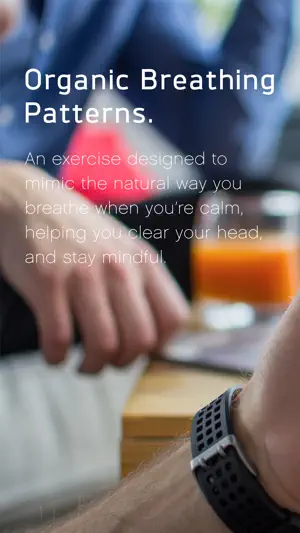 zenspot screenshot 4
