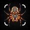 Spider Identifier - Insect ID is your smart assistant for instantly identifying spiders and insects with a simple photo