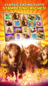 Double Diamond Casino - Slots screenshot