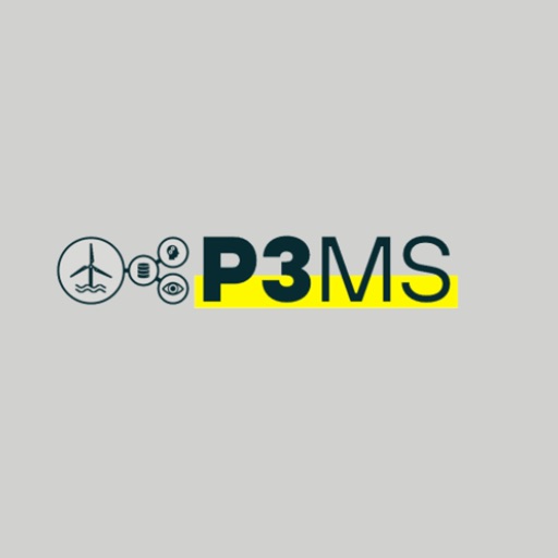P3MS