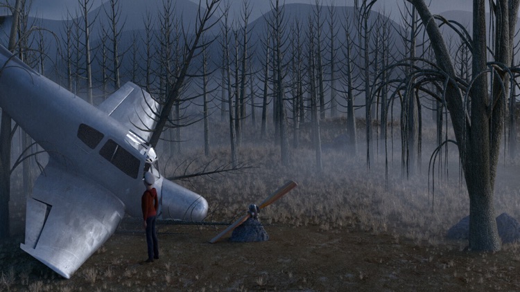 Forest way land great survival