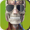 Memorix Anatomy and Histology - MEMORIX s.r.o.