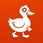 Dodo View - Movies Web Stories