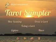 fool’s dog tarot & divination айпад изображения 1