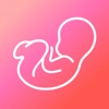 Pregnancy & Baby App - WeMoms icon