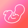 Pregnancy & Baby App - WeMoms - Globalia