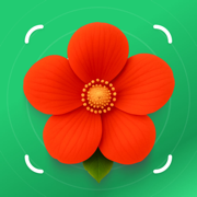 Pflanzen Erkennen: PlantFlow
