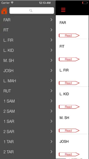 Hausa Littafi Mai Tsarki screenshot 4