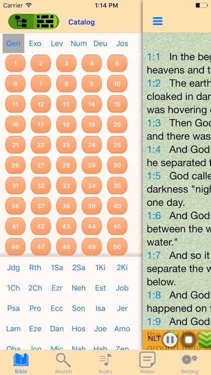 NLT Audio Holy Bible