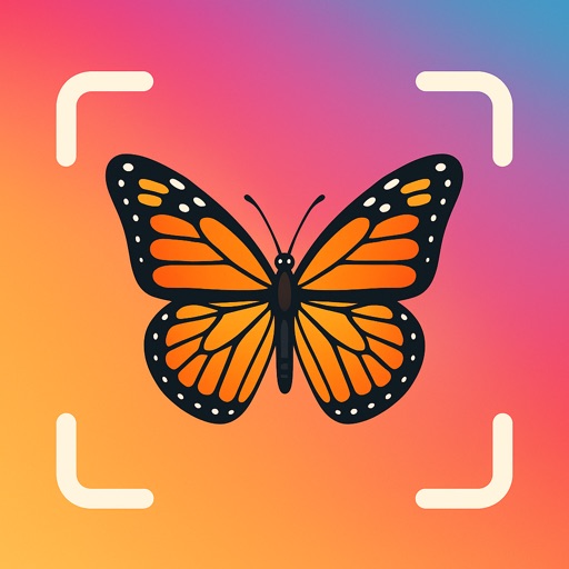 Butterfly Identifier - Paply