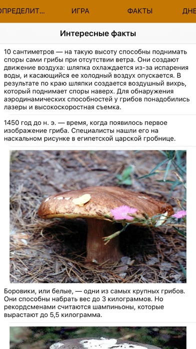 Mushrooms - Photo Identifier Screenshot