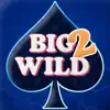 Big 2 Wild App Positive Reviews