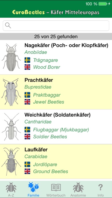 EuroBeetles Screenshot