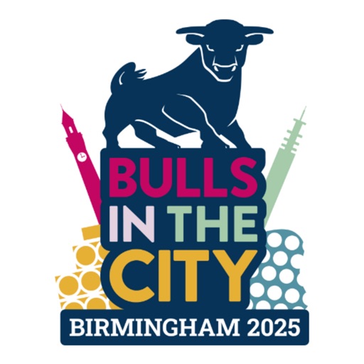 Bulls in the City Download