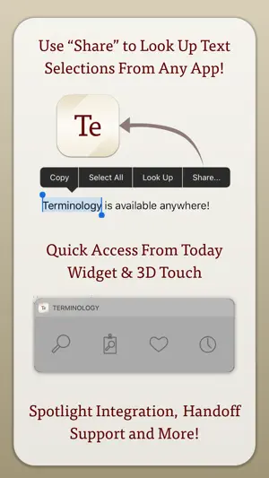 Terminology screenshot 4