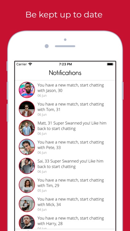 Swanned screenshot-6