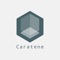 Caratene is a B2B trade platform for jewellers to browse and buy silver jewellery from thousands of designs