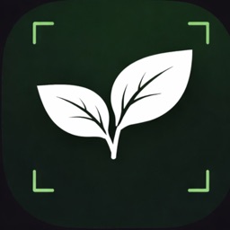 Kleen AI