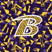 Bryan Golden Bears Basketball