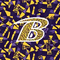 Bryan Golden Bears Basketball
