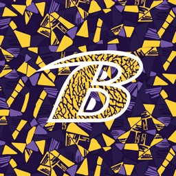 Bryan Golden Bears Basketball