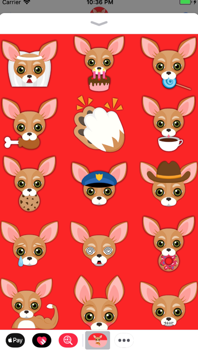 Tan Chihuahua screenshot
