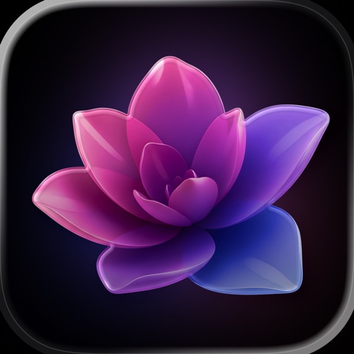 Euforia: App That Lifts You Up