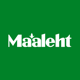 Maaleht