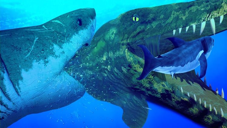 3D Fish Feeding and Grow screenshot-5