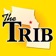 Lewiston Tribune app icon - News app for iPhone