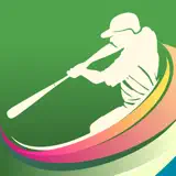 SwingPerfect - Icona app