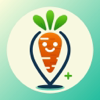 Vegan Notes - 私人烘焙蔬食筆記本 - Ying fang Tu