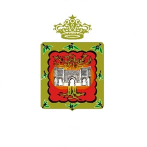 Meknès ville propre