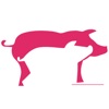 Porcicola Control icon