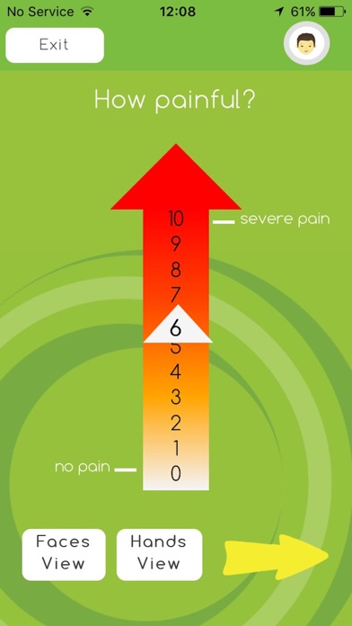 Pain Assessment Tool screenshot