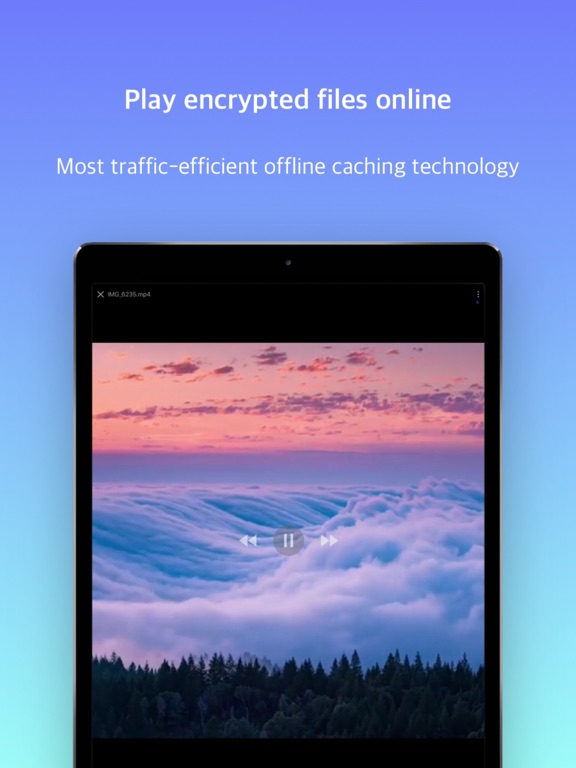 Screenshot #6 pour DataSpace - Album Encryption
