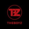 Get THE BOYZ Light Stick for iOS, iPhone, iPad Aso Report