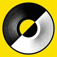 NeedleDrop: Vinyl Collection