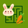 Animal Easy Maze icon